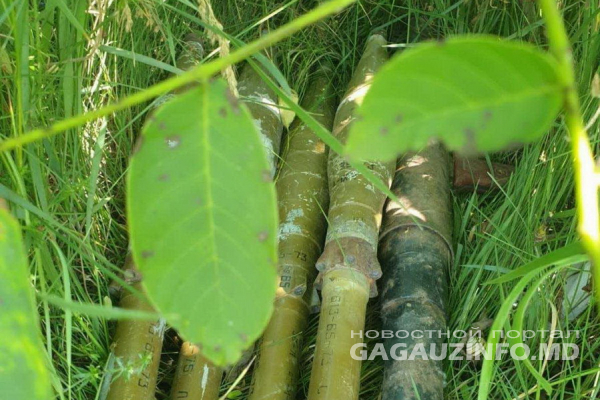 Гранатомет с боеприпасами нашли в лесополосе вблизи Комрата