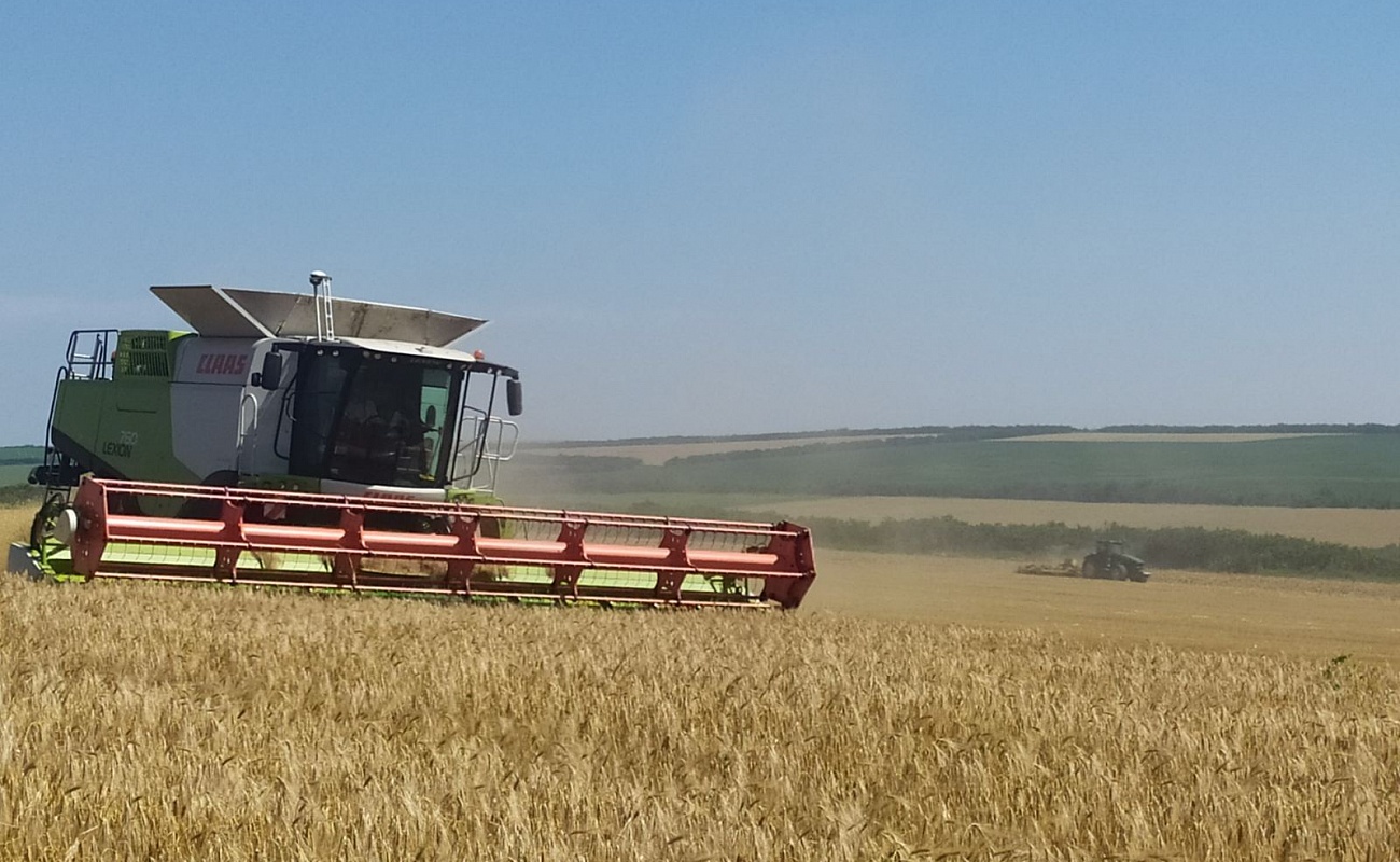 В Гагаузии началась уборка зерновых: известны первые данные об урожае
