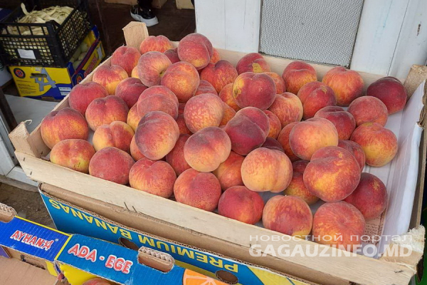 На рынке Комрата появились молдавские персики. По какой цене?