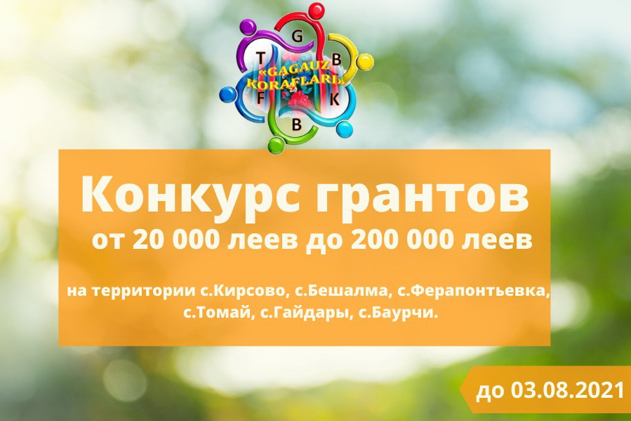 Конкурс грантов в Гагаузии: на что можно получить до 200 тысяч леев
