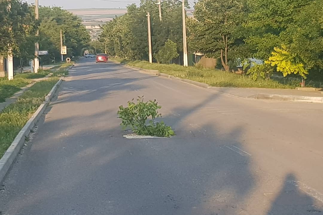 В Комрате яму на дороге прикрыли веткой: водители возмущены