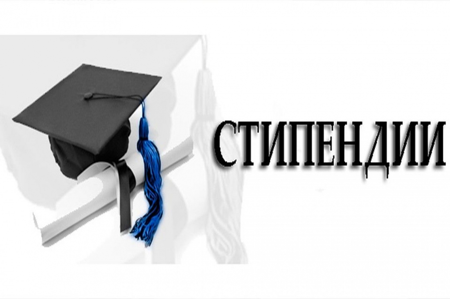 Стипендии Топала - получили ли их студенты из Гагаузии? Что ответили в управлении образования
