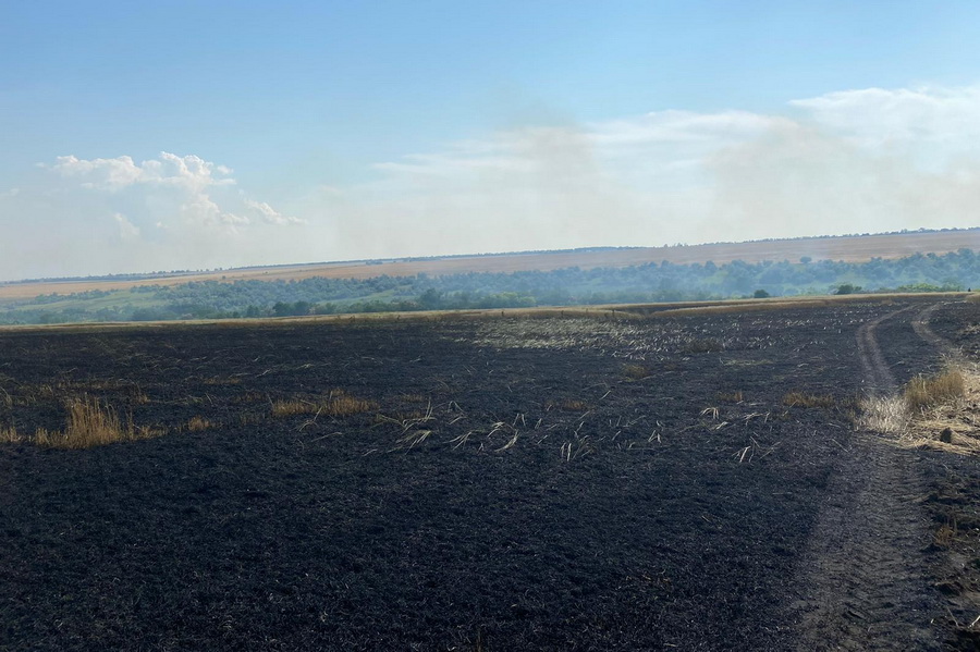 Поле пшеницы сгорело в Тараклийском районе