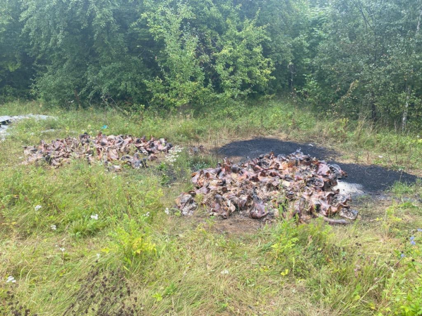 На свалке вблизи Чадыр-Лунги обнаружено тело мужчины