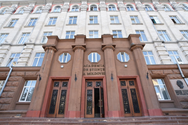 Академия наук призвала переименовать в конституции молдавский язык на румынский