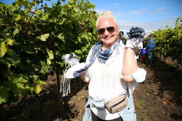 «Виноделие – часть нашей культуры». Как дипломаты сегодня собирали виноград в Гагаузии