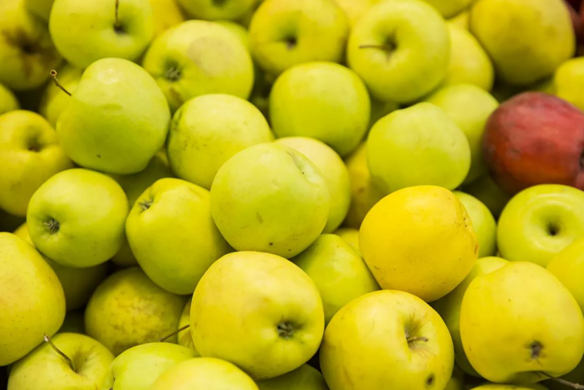 Урожай яблок некоторых сортов в Молдове выше прошлогоднего: что с ценами
