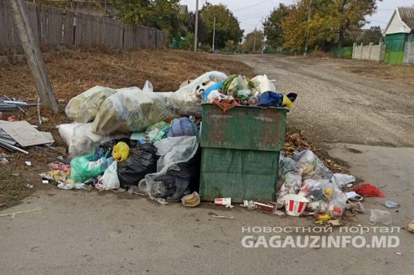 Переполненные мусорные контейнеры отравляют жизнь микрорайона в Комрате. Что говорят в МП ЖКХ