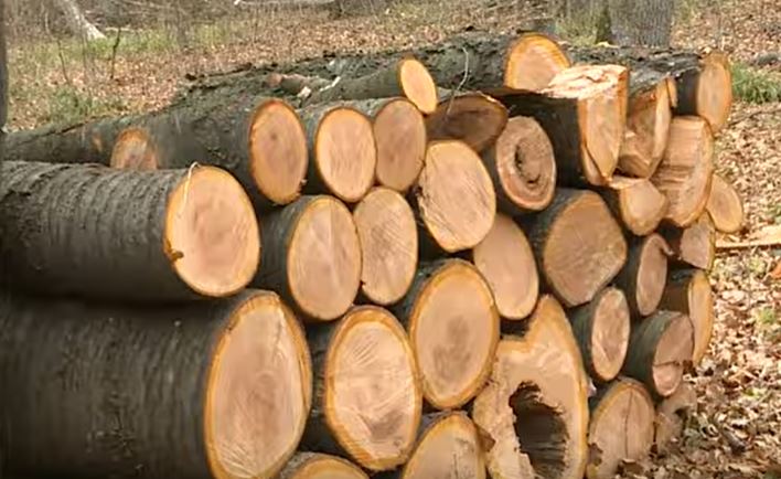 Жители Молдовы начали скупать уголь и дрова из-за подорожания газа