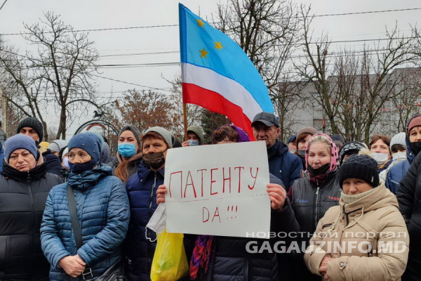 Нет руководства НСГ – нет патентов. В Комрате прошла очередная акция протеста малых предпринимателей