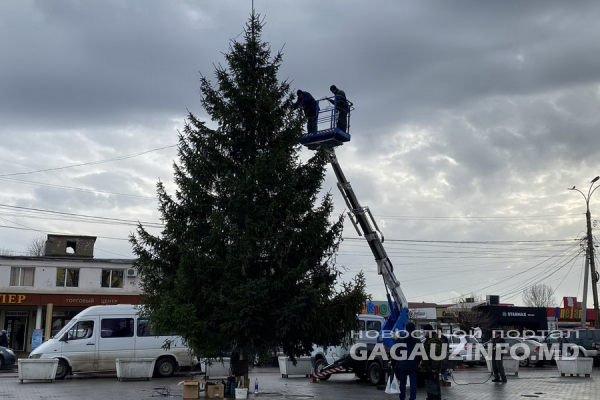 Праздник к нам приходит. В Комрате нарядили новогоднюю ель