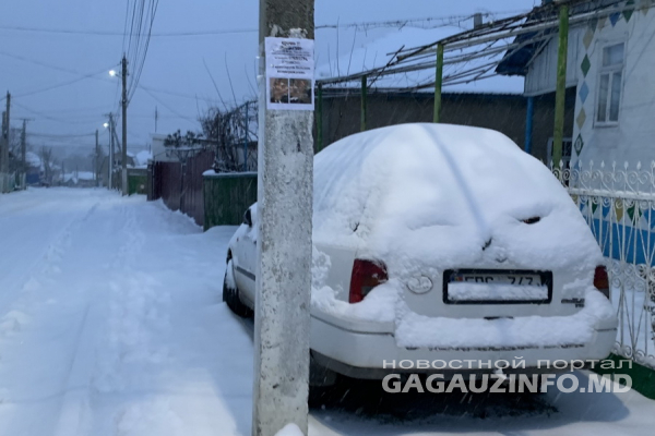 Снегопад продолжится и в понедельник: синоптики прогнозируют до -4°С днем