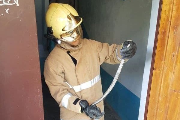 В Кагульском районе в подвале детсада обнаружили 15 змей