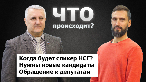 Петр Пашалы о кризисе в НСГ и новых кандидатах на пост спикера I ЧТО ПРОИСХОДИТ