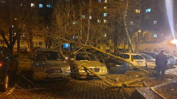 Шквалистый ветер оставил без электричества 33 населенных пункта по всей Молдове