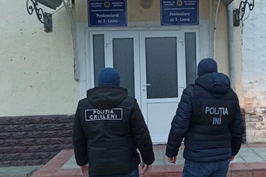 В Молдове двое заключенных заработали 300 тысяч леев, «продавая» дрова через интернет