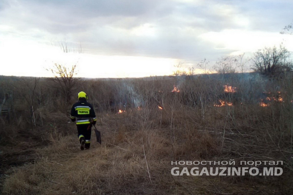 Пожары в Гагаузии: огонь уничтожил 14 гектар растительности