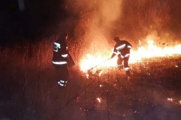 В Бешгиозе в результате пожара сгорели 100 га сухой травы