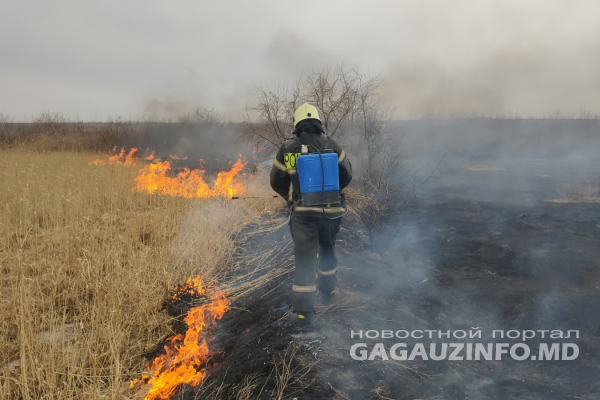 Больше 150 гектар сухой растительности сгорело в Гагаузии за неделю