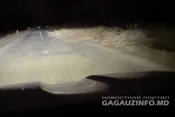 «Сюрприз» для водителей. Вблизи Казаклии обрезанные ветки деревьев оказались прямо на дороге