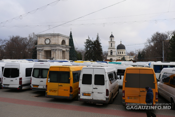 Перевозчики обратились к высшему руководству: «Срочно примите меры поддержки»