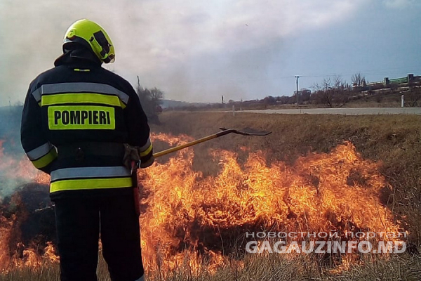Пожары сходят на «нет». В РУЧС Гагаузии сообщили о возгораниях сухой растительности