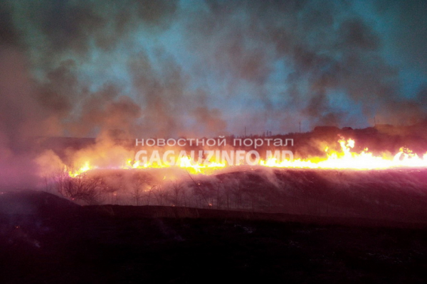 Возгорания сухой травы в Молдове: Гагаузия вошла в топ регионов страны