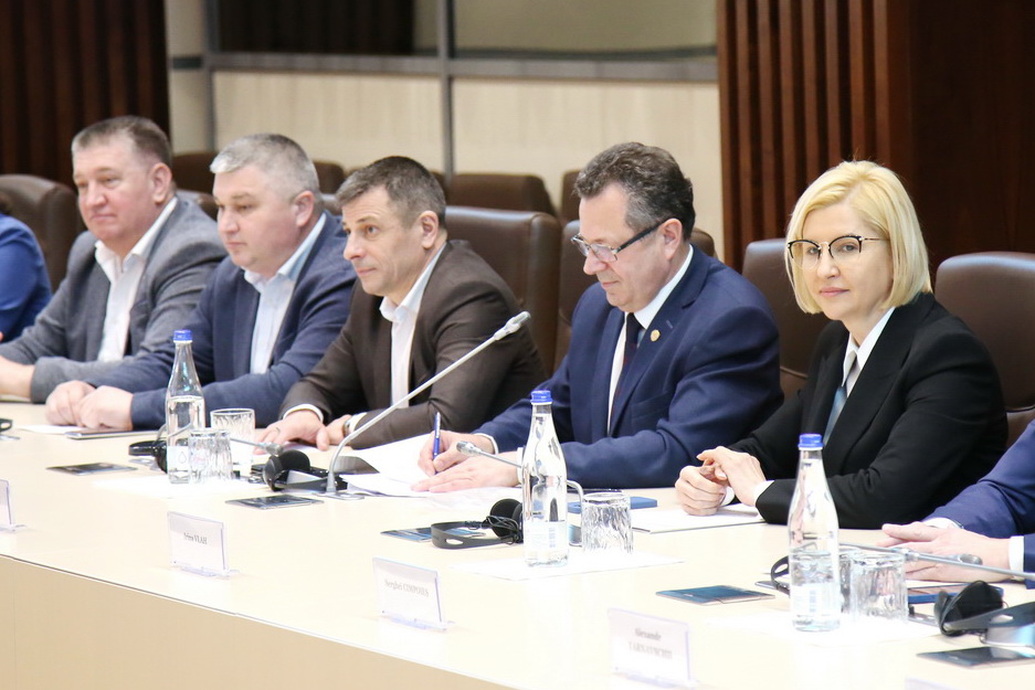 Ирина Влах: Власть должна приносить порядок и предсказуемость в жизнь общества