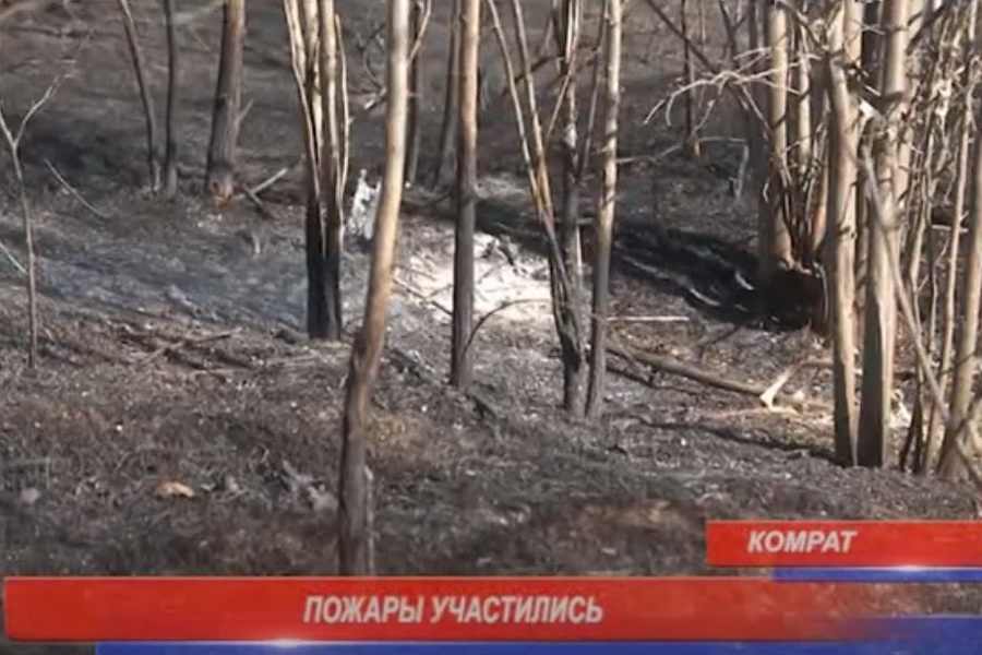 Еще три гектара леса сгорело на окраине Комрате