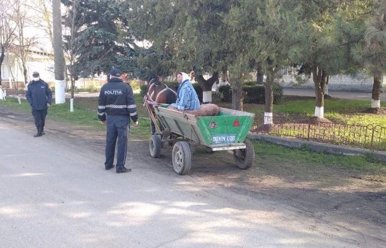 Полиция обратилась с рекомендациями к водителям гужевого транспорта