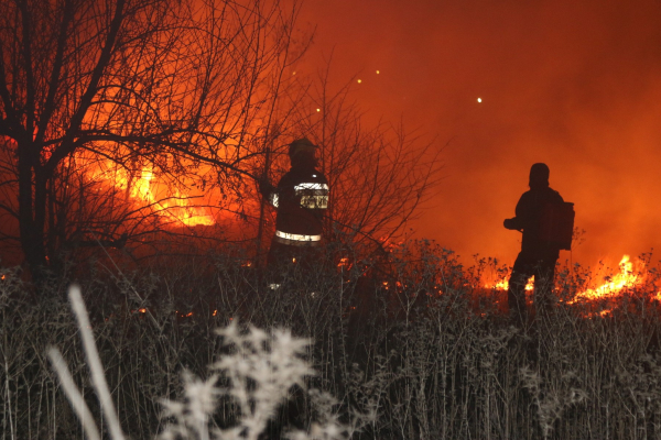 Крупное возгорание в Комрате: горели пустыри вблизи домов
