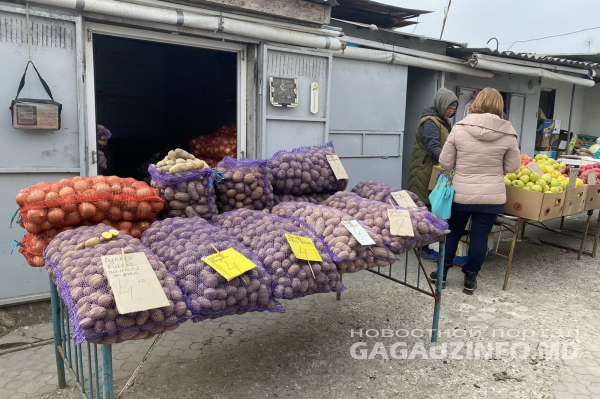 В Гагаузии стартовал «огородный сезон». Почем семенной материал?