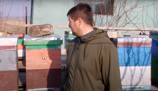 Готовы ли пасечники из Гагаузии к новому сезону?