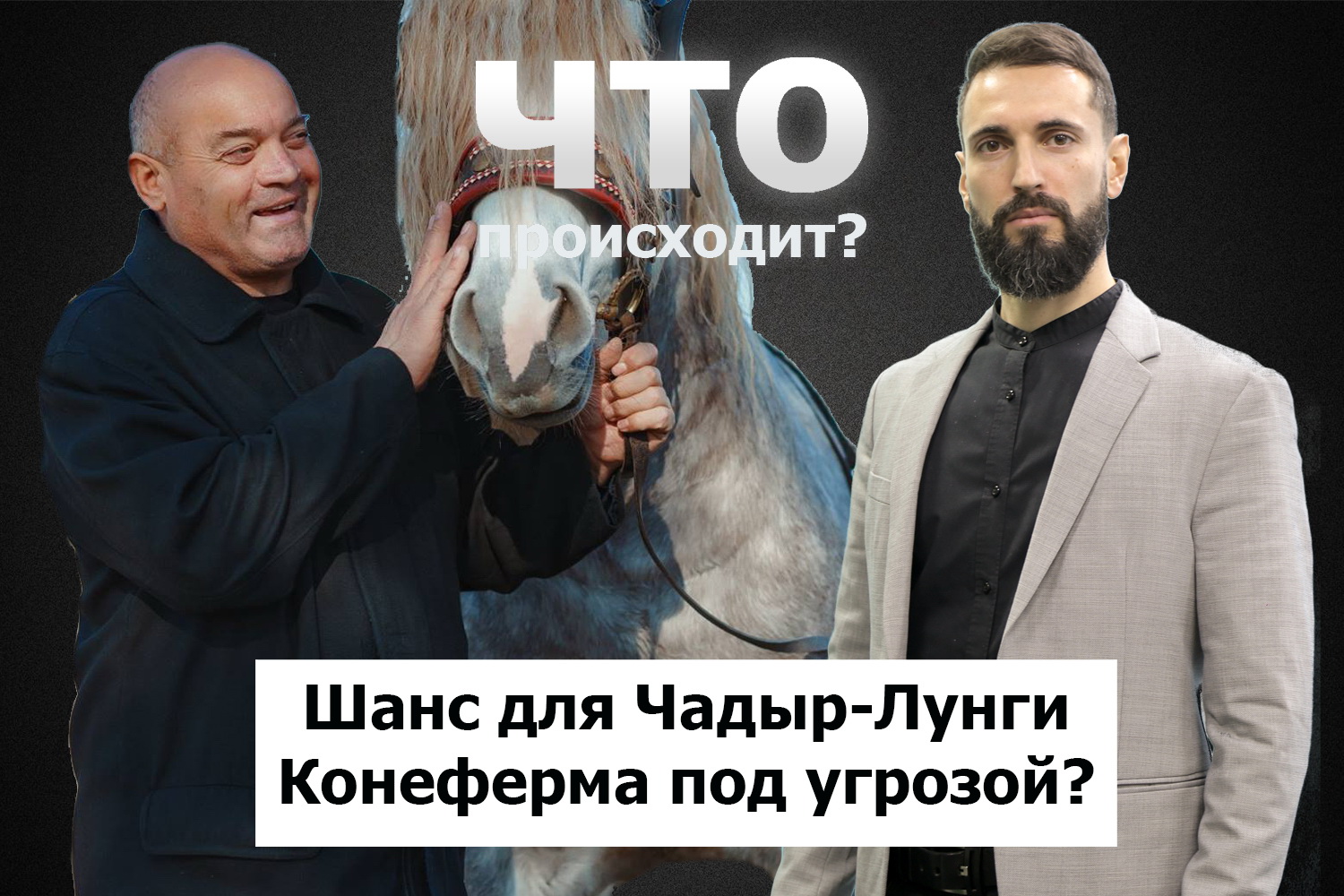 Константин Келеш о конях, людях и деньгах / Что происходит