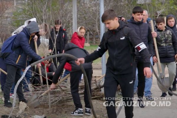 Жительница Комрата подарила городу 80 саженцев деревьев. Их высадили в пойме Ялпуга