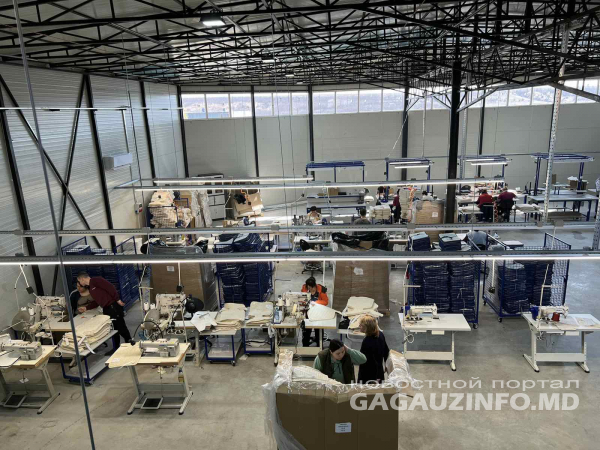 В Гагаузии в 2021 году зарегистрировано 272 новых предприятия. Есть иностранные