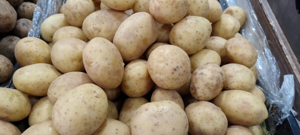 В Гагаузии в продаже появился молодой картофель. Не опасно ли его употреблять в пищу?