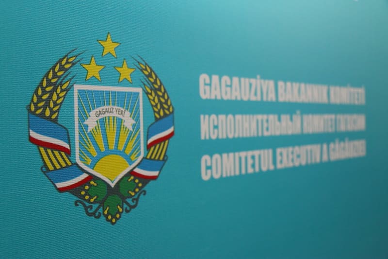 Глава Гагаузии повторно представила в НСГ структуру и состав Исполкома