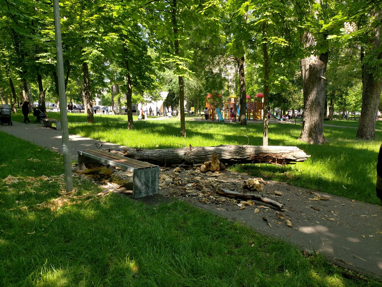 Гибель ребенка в парке Alunelul. Прокуратура завела дело о служебной халатности