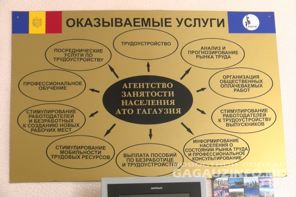 Сколько граждан Украины трудоустроено в Молдове? Ответ Агентства занятости