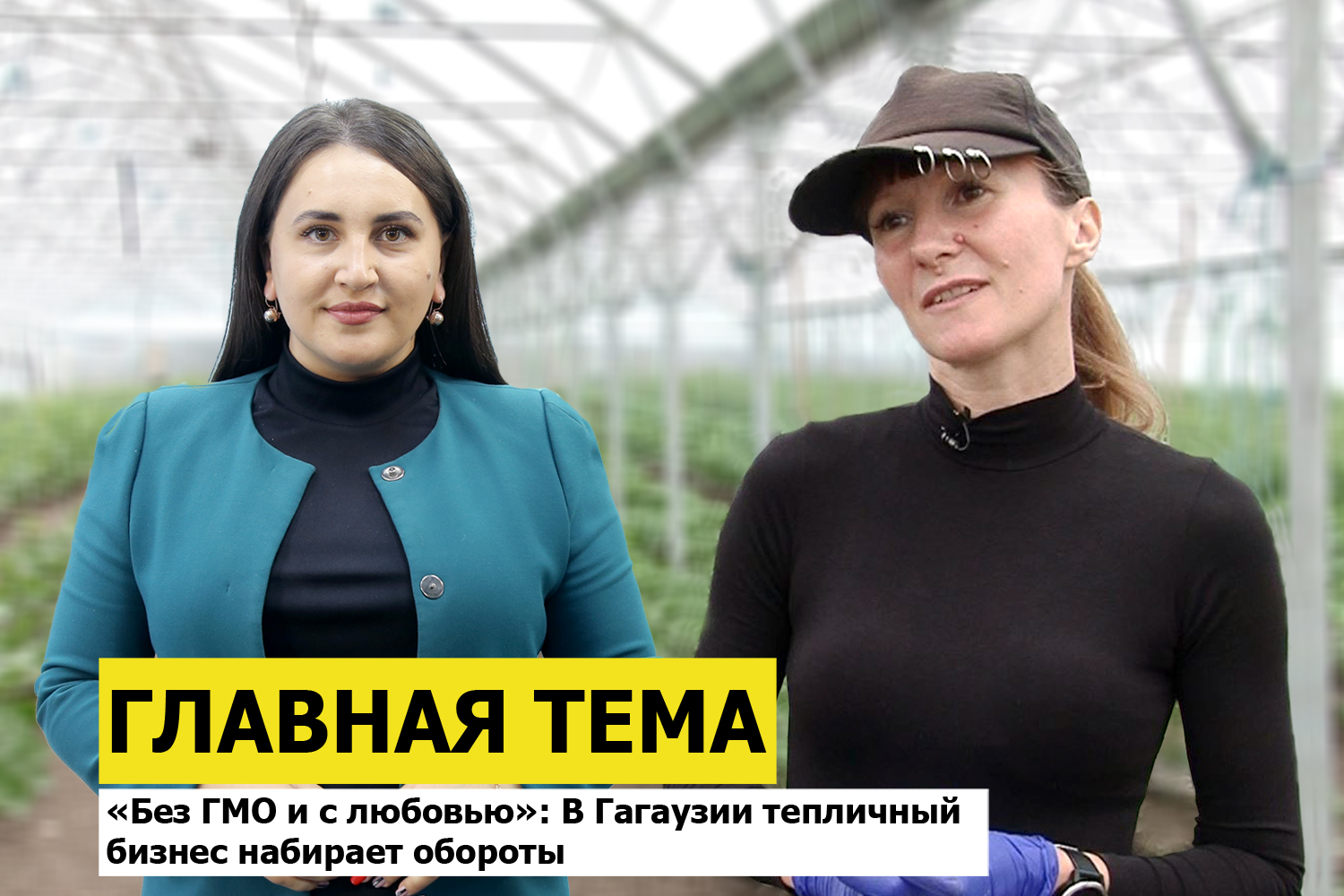 ГЛАВНАЯ ТЕМА: «Без ГМО и с любовью»: В Гагаузии тепличный бизнес набирает обороты