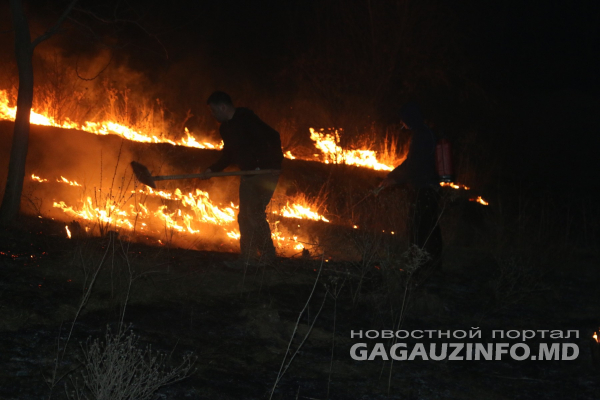 В Молдове новый «желтый» код. Есть угроза массовых пожаров