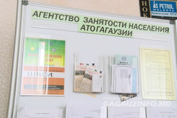 Сколько в Гагаузии вакантных рабочих мест? Данные Агентства занятости населения