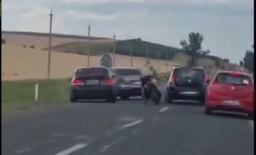Сведение счетов в Басарабяске: водители устроили массовую драку прямо на дороге