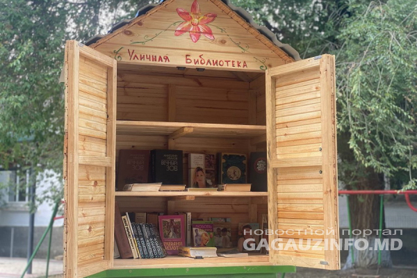 На «курьих ножках»: уличная библиотека появилась в Гайдарах
