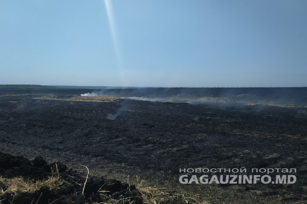 Более 15 гектар стерни сгорело на поле близ Комрата