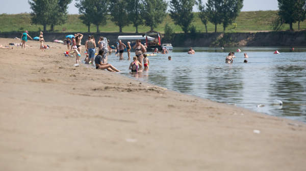 Купаться в Днестре опасно: на пляже в Вадул-луй-Водэ обнаружен холерный вибрион
