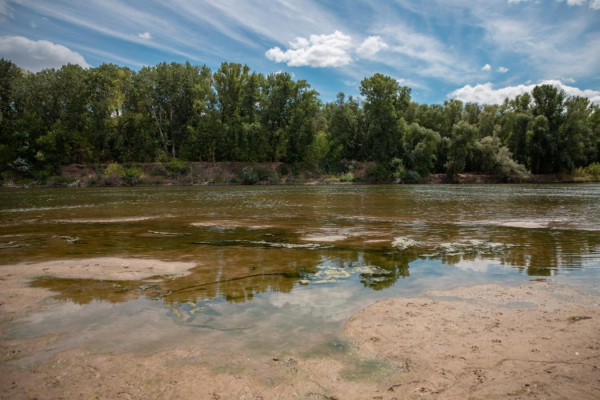 Из-за засухи уровень воды в Днестре упал до критической отметки