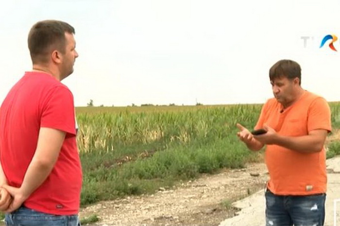 В Молдове ни один фермер не застраховал свой урожай на случай засухи