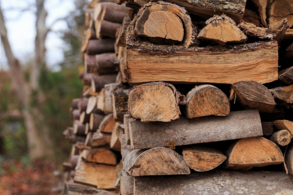 В Молдове отмечается ажиотажный спрос на дрова